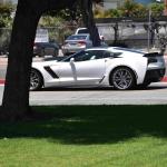 DSC_0252_01 (May 16, 2020)